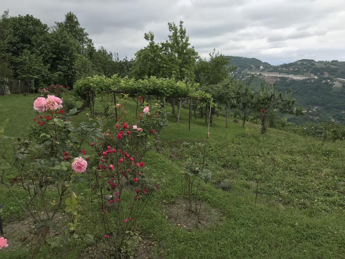 Sea & Nature Villa Hisar Trabzon Eksteriør billede