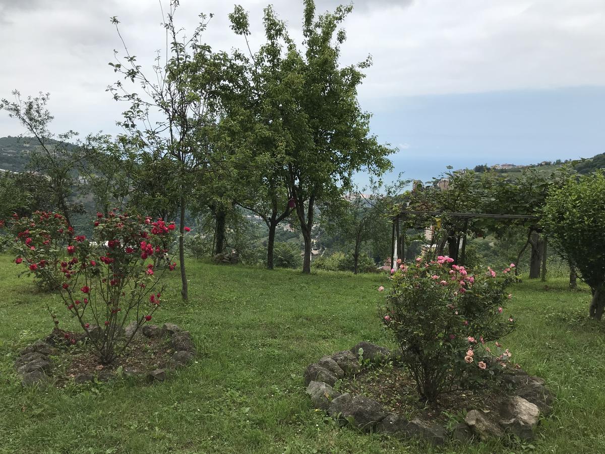 Sea & Nature Villa Hisar Trabzon Eksteriør billede