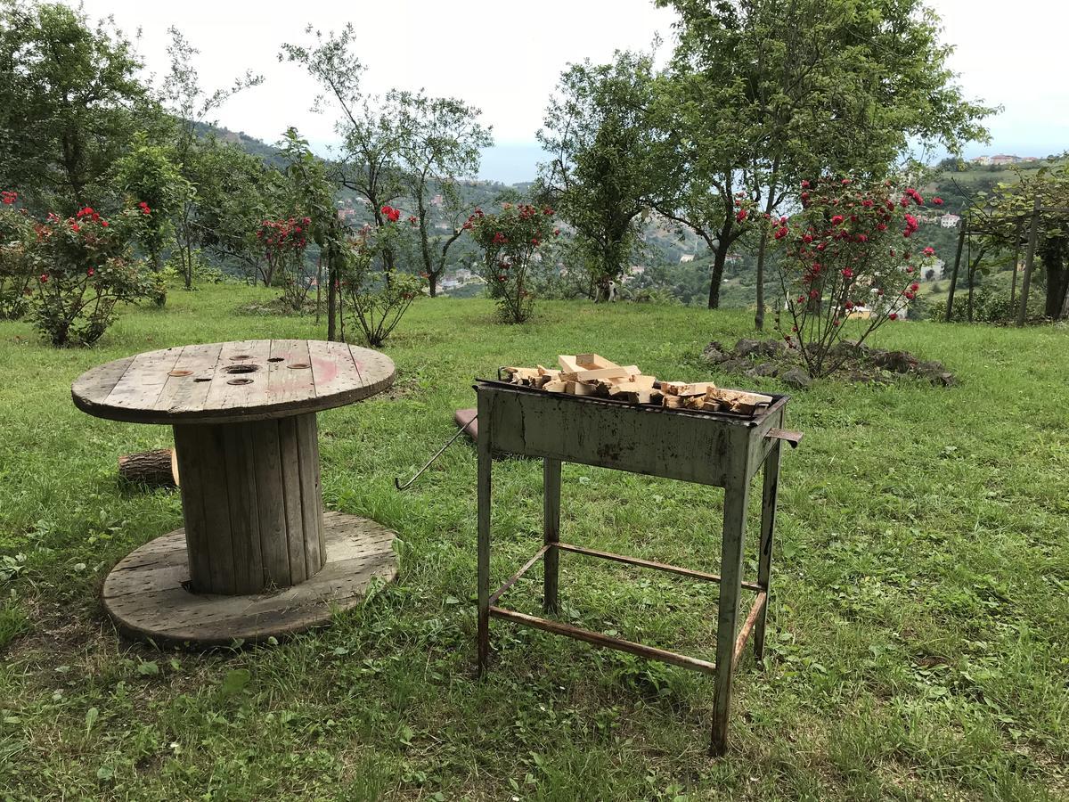 Sea & Nature Villa Hisar Trabzon Eksteriør billede