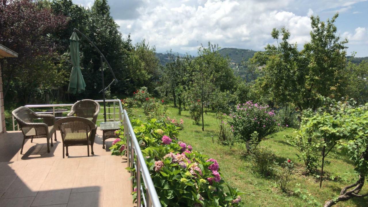 Sea & Nature Villa Hisar Trabzon Eksteriør billede