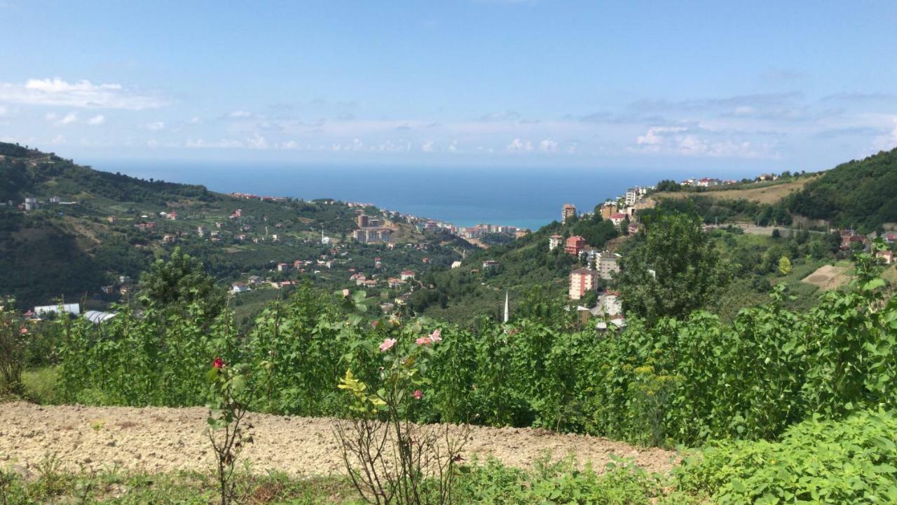 Sea & Nature Villa Hisar Trabzon Eksteriør billede