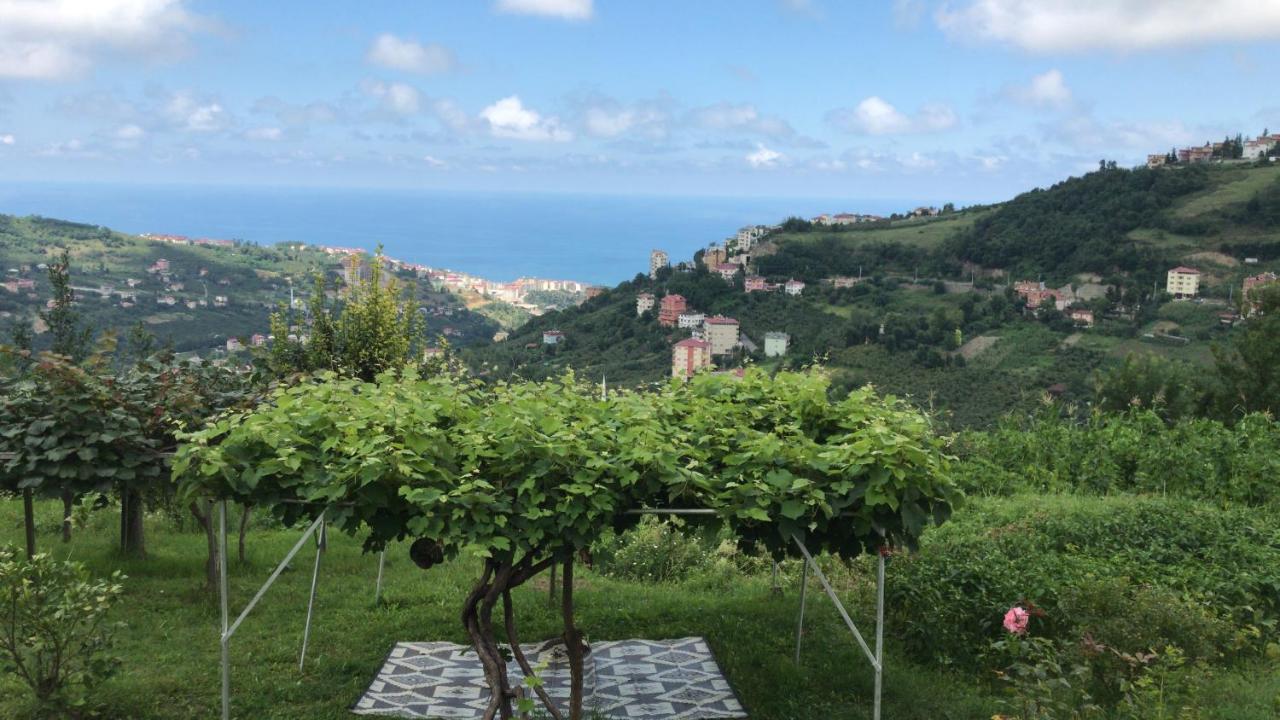 Sea & Nature Villa Hisar Trabzon Eksteriør billede