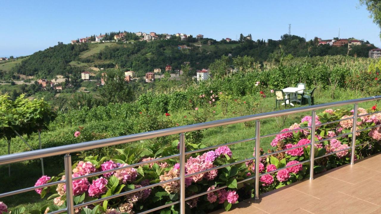 Sea & Nature Villa Hisar Trabzon Eksteriør billede